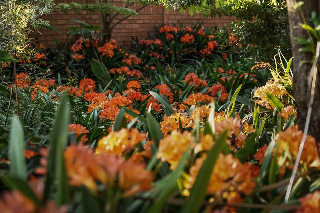 Hotel Hudson House à Pretoria-Noord Extérieur photo